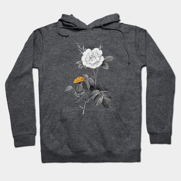 Black and Gold Leaf - Blooming White Rose - Vintage Botanical Hoodie by Holy Rock Design